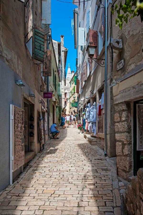 Harmony In Blue Apartment Rovinj Bagian luar foto